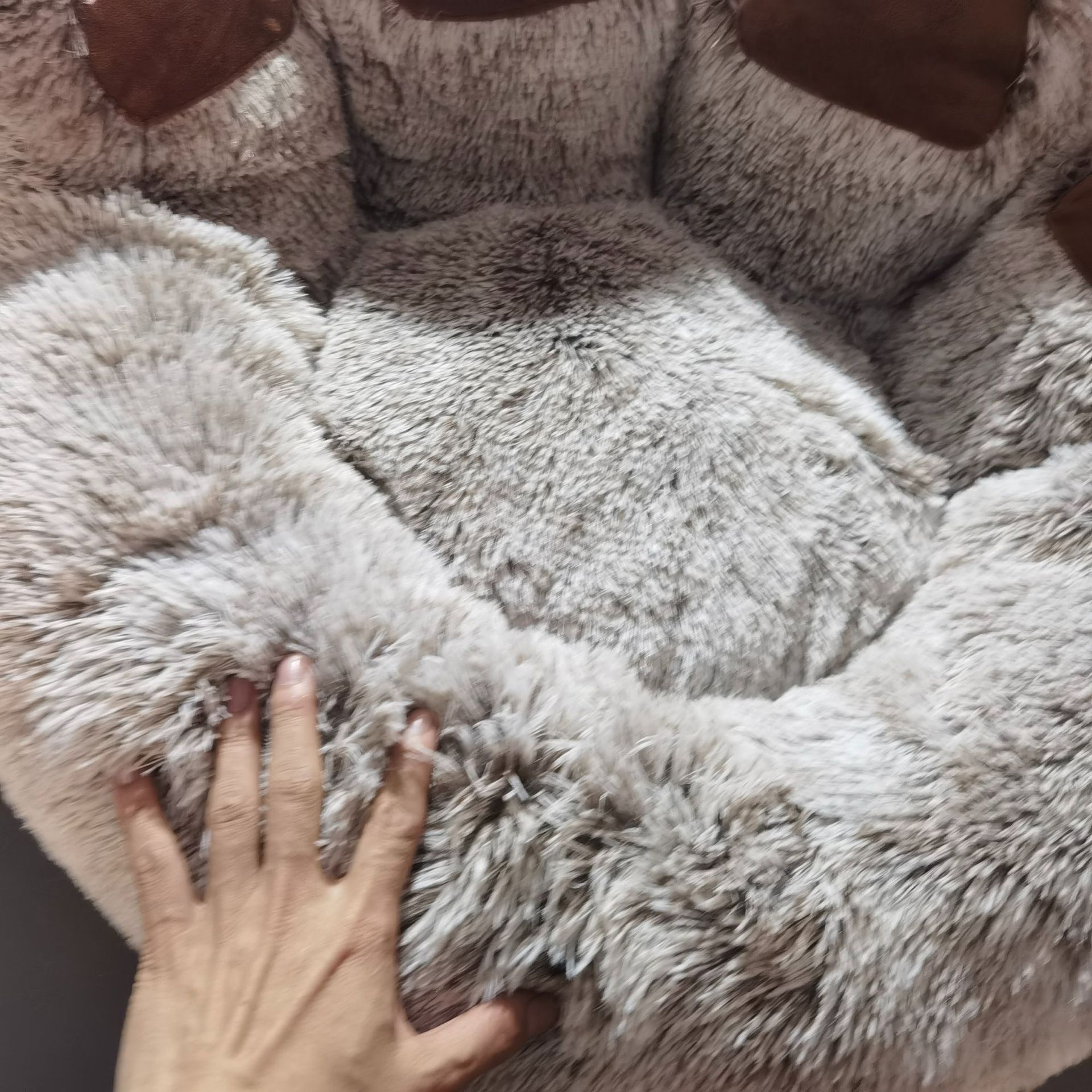 Bolster Dog Bed — Enclosed Warm view 4